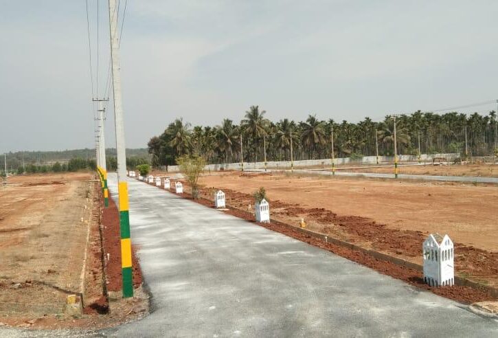 WhatsApp-Image-2024-12-21-at-4.54.43-PM